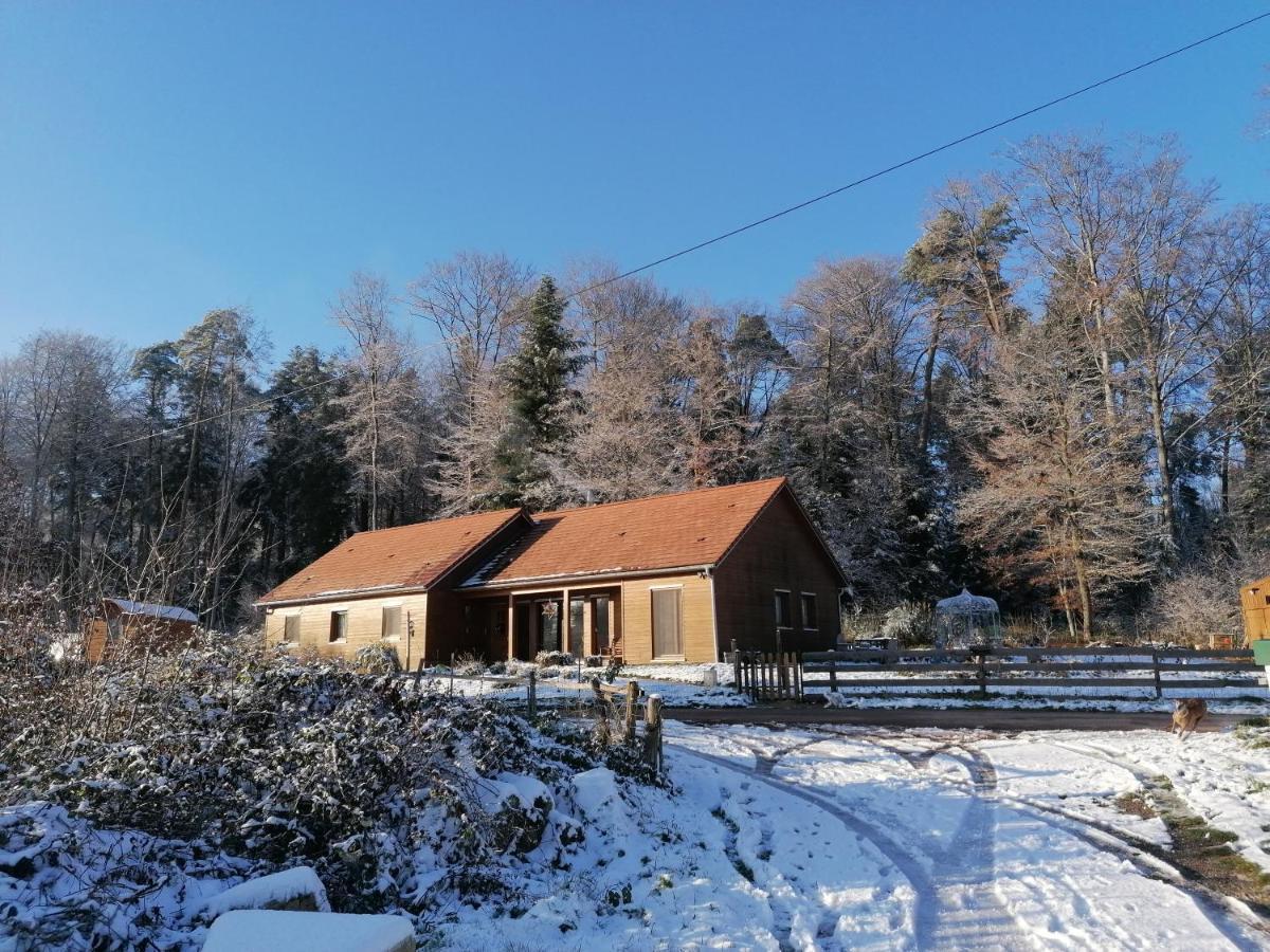 Vosges Chambres D'Hotes Jeanmenil Exteriör bild